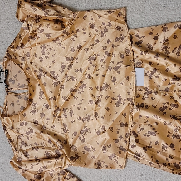 NWT Zara Satin Croped Top and Midi Skirt Set in Copper - Picture 10 of 13